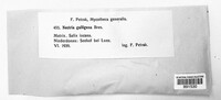 Neonectria ditissima image